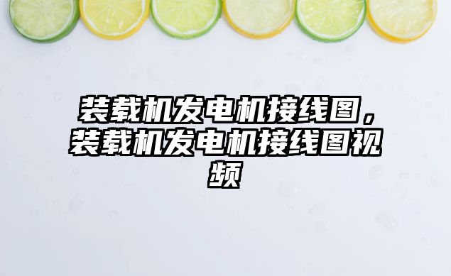 裝載機發電機接線圖，裝載機發電機接線圖視頻