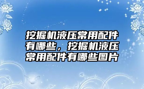 挖掘機液壓常用配件有哪些，挖掘機液壓常用配件有哪些圖片