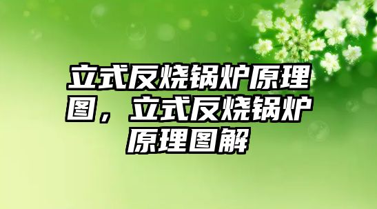 立式反燒鍋爐原理圖，立式反燒鍋爐原理圖解