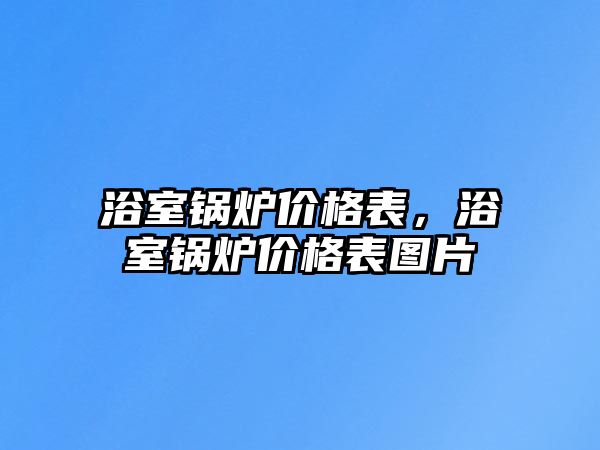 浴室鍋爐價格表，浴室鍋爐價格表圖片