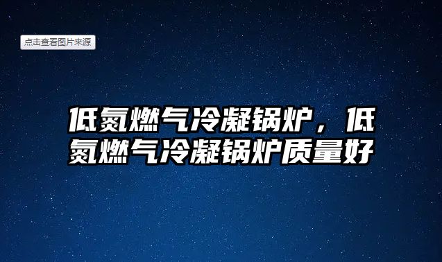 低氮燃氣冷凝鍋爐，低氮燃氣冷凝鍋爐質量好