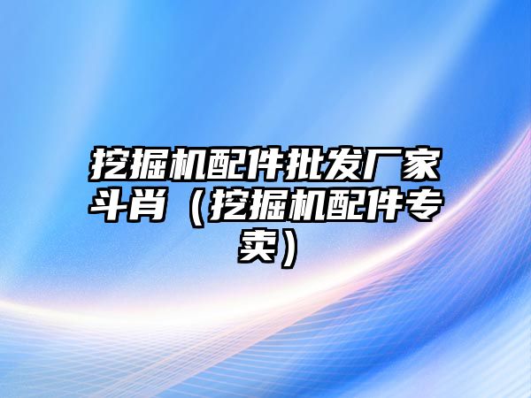 挖掘機配件批發廠家斗肖（挖掘機配件專賣）