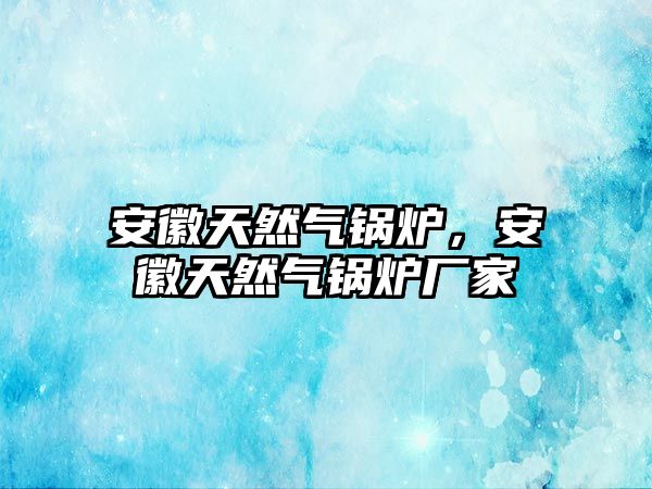 安徽天然氣鍋爐，安徽天然氣鍋爐廠家