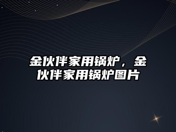 金伙伴家用鍋爐，金伙伴家用鍋爐圖片