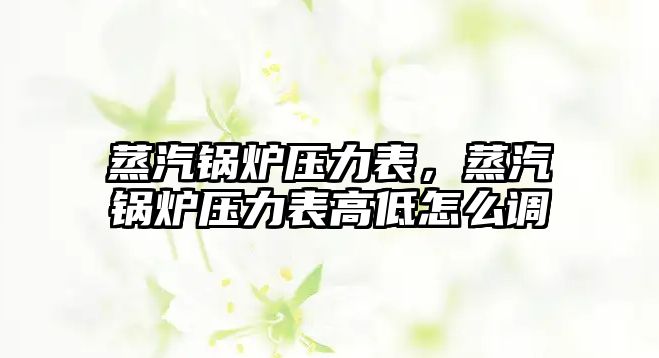 蒸汽鍋爐壓力表，蒸汽鍋爐壓力表高低怎么調