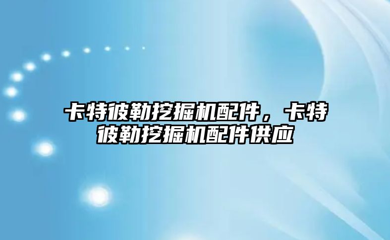 卡特彼勒挖掘機配件，卡特彼勒挖掘機配件供應