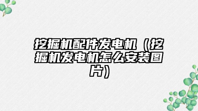 挖掘機配件發電機（挖掘機發電機怎么安裝圖片）