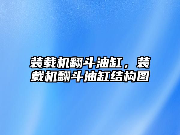 裝載機翻斗油缸，裝載機翻斗油缸結構圖