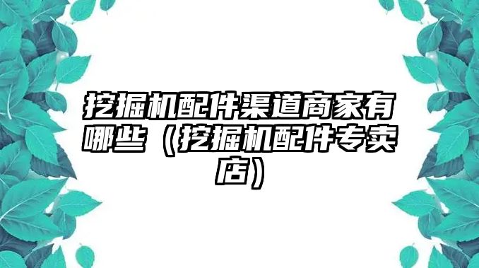 挖掘機配件渠道商家有哪些（挖掘機配件專賣店）