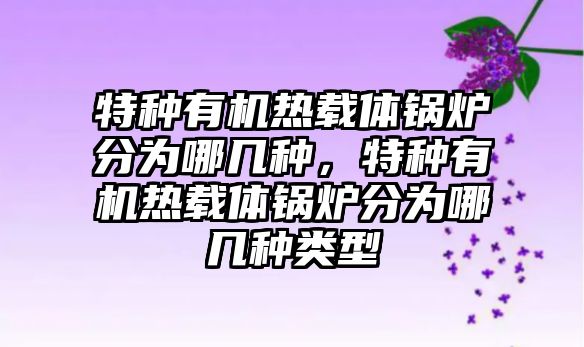 特種有機熱載體鍋爐分為哪幾種，特種有機熱載體鍋爐分為哪幾種類型