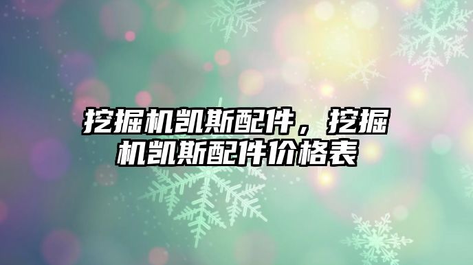 挖掘機凱斯配件，挖掘機凱斯配件價格表