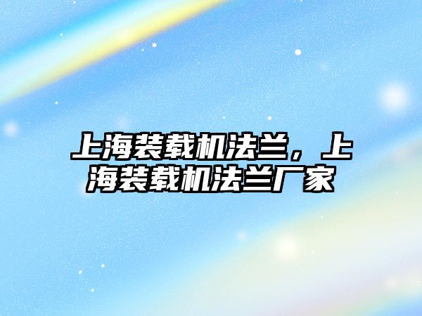 上海裝載機法蘭，上海裝載機法蘭廠家