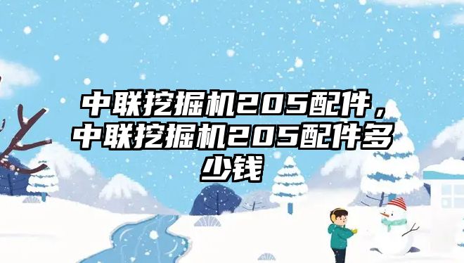 中聯挖掘機205配件，中聯挖掘機205配件多少錢