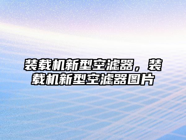 裝載機(jī)新型空濾器，裝載機(jī)新型空濾器圖片