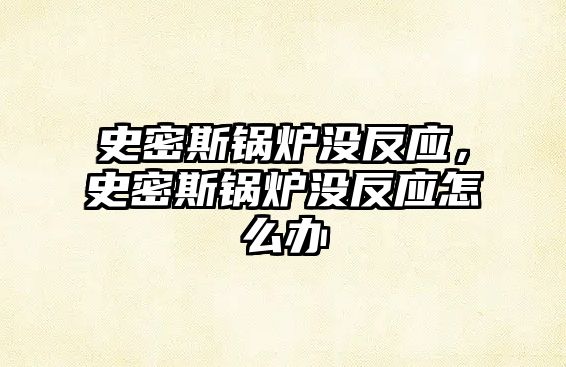 史密斯鍋爐沒反應，史密斯鍋爐沒反應怎么辦