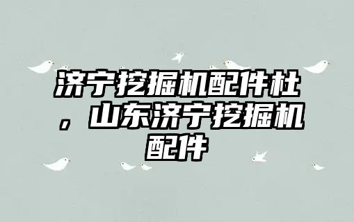 濟寧挖掘機配件杜，山東濟寧挖掘機配件