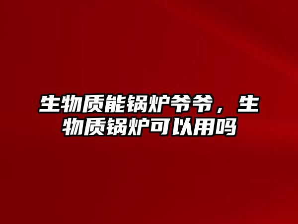 生物質能鍋爐爺爺，生物質鍋爐可以用嗎