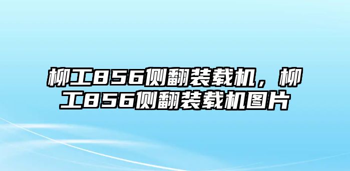 柳工856側(cè)翻裝載機，柳工856側(cè)翻裝載機圖片