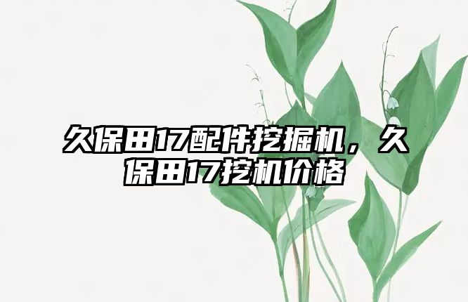 久保田17配件挖掘機(jī)，久保田17挖機(jī)價格