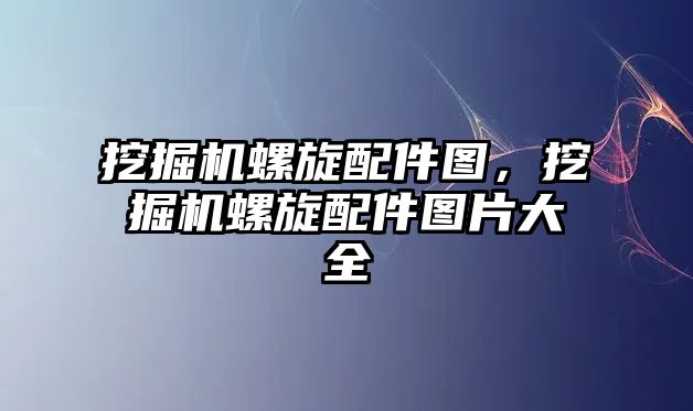 挖掘機螺旋配件圖，挖掘機螺旋配件圖片大全