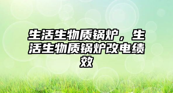 生活生物質(zhì)鍋爐，生活生物質(zhì)鍋爐改電績效