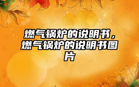 燃氣鍋爐的說明書，燃氣鍋爐的說明書圖片