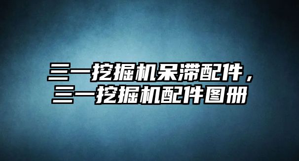 三一挖掘機(jī)呆滯配件，三一挖掘機(jī)配件圖冊