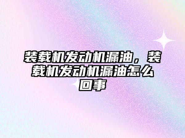 裝載機發動機漏油，裝載機發動機漏油怎么回事