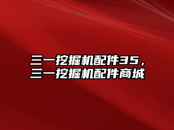 三一挖掘機配件35，三一挖掘機配件商城