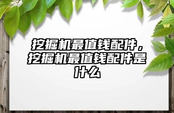 挖掘機最值錢配件，挖掘機最值錢配件是什么