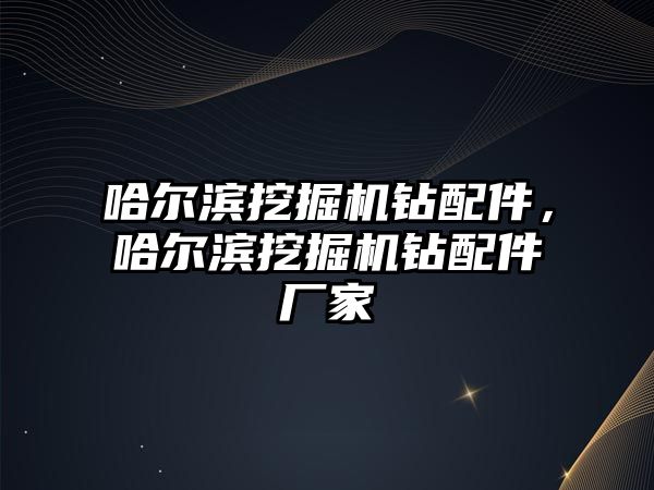 哈爾濱挖掘機鉆配件，哈爾濱挖掘機鉆配件廠家