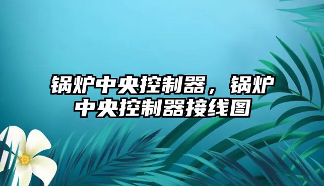 鍋爐中央控制器，鍋爐中央控制器接線圖