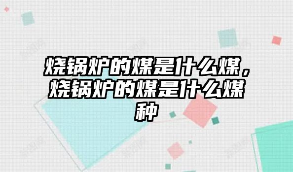 燒鍋爐的煤是什么煤，燒鍋爐的煤是什么煤種