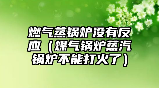 燃氣蒸鍋爐沒有反應（煤氣鍋爐蒸汽鍋爐不能打火了）