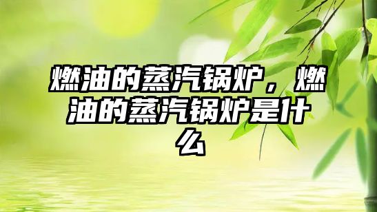 燃油的蒸汽鍋爐，燃油的蒸汽鍋爐是什么