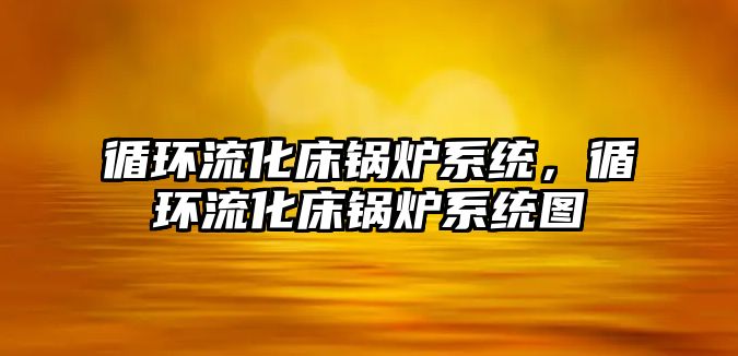 循環流化床鍋爐系統，循環流化床鍋爐系統圖