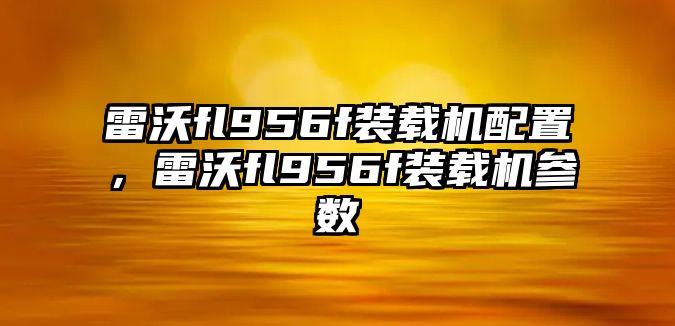 雷沃fl956f裝載機配置，雷沃fl956f裝載機參數