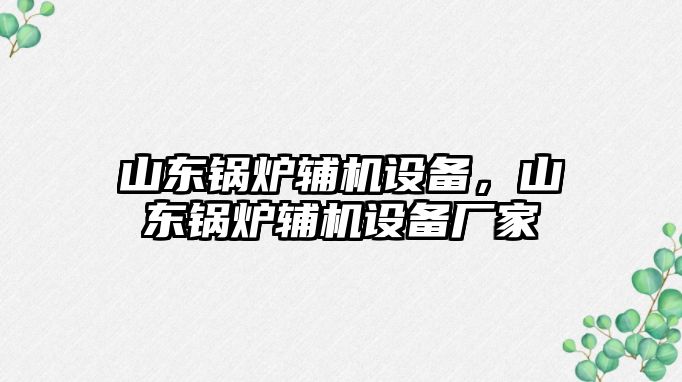 山東鍋爐輔機設備，山東鍋爐輔機設備廠家