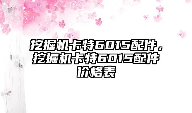 挖掘機(jī)卡特6015配件，挖掘機(jī)卡特6015配件價格表