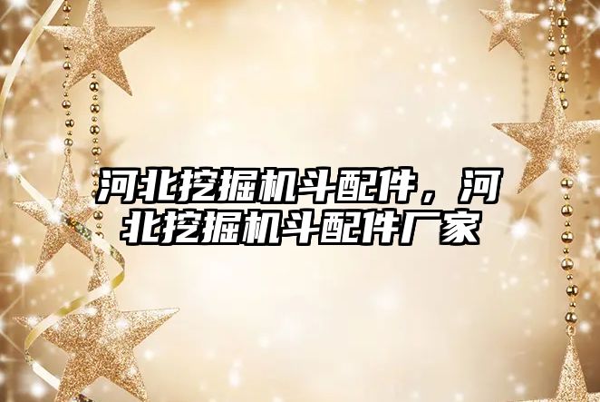 河北挖掘機斗配件，河北挖掘機斗配件廠家