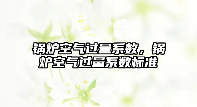 鍋爐空氣過量系數，鍋爐空氣過量系數標準