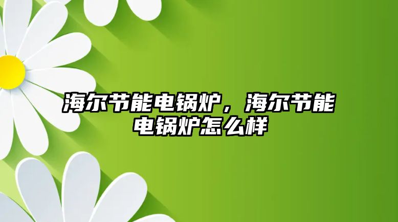 海爾節能電鍋爐，海爾節能電鍋爐怎么樣