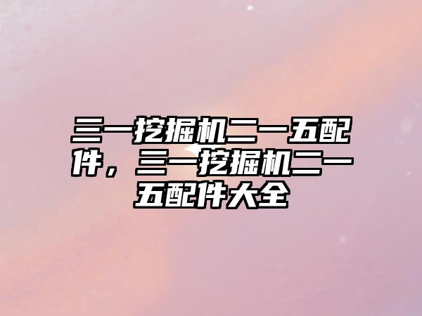 三一挖掘機二一五配件，三一挖掘機二一五配件大全