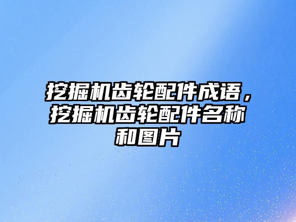 挖掘機齒輪配件成語，挖掘機齒輪配件名稱和圖片