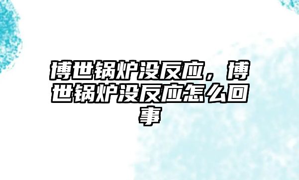 博世鍋爐沒(méi)反應(yīng)，博世鍋爐沒(méi)反應(yīng)怎么回事