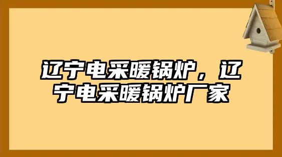 遼寧電采暖鍋爐，遼寧電采暖鍋爐廠(chǎng)家