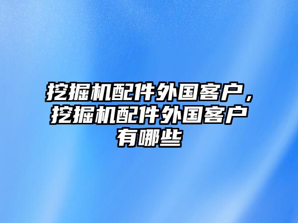 挖掘機配件外國客戶，挖掘機配件外國客戶有哪些