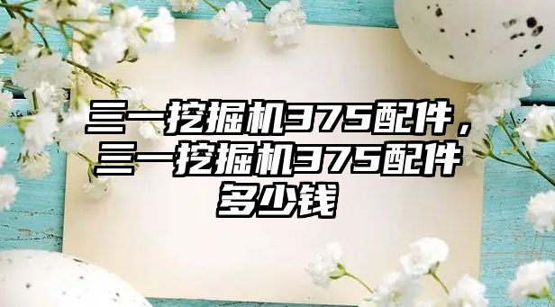 三一挖掘機375配件，三一挖掘機375配件多少錢