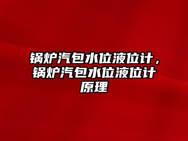 鍋爐汽包水位液位計，鍋爐汽包水位液位計原理