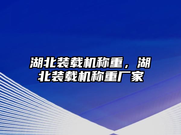 湖北裝載機稱重，湖北裝載機稱重廠家